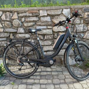 City Bike Diamant