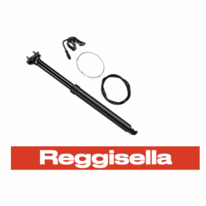 Reggisella
